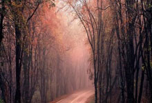 UG体育：歐聯杯1／16決賽首回合皇家社會0-4曼聯 B費梅開二度拉什福德破門.