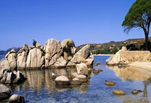 意甲第26輪羅馬3-4薩索洛 庫姆布拉惡劣踢人！十人羅馬不敵薩索洛跌出歐冠區！.